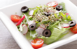 Gartensalat